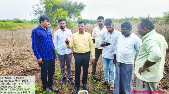 ಬೆಳೆ ಕಟಾವು ಮೇಲ್ವಿಚಾರಣೆ ಮಾಡಿದ:  ಬಿ ಎಸ್ ಕಡಕಬಾವಿ 