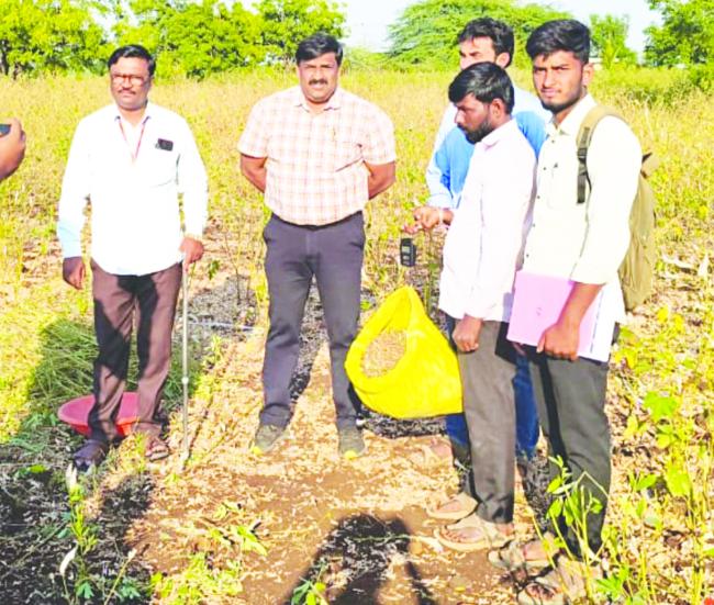 ಬೆಳೆ ಕಟಾವು ಮೇಲ್ವಿಚಾರಣೆ ಮಾಡಿದ:ಡಾ ಕನ್ನೂರ 