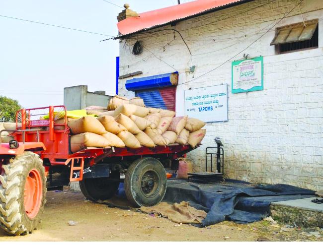 ತಾಂತ್ರಿಕ ಸಮಸ್ಯೆಯಿಂದ ಮೆಕ್ಕೆಜೋಳ ಖರೀದಿ ಸ್ಥಗಿತ: ಸಂಕಷ್ಟದಲ್ಲಿ ಅನ್ನದಾತ 