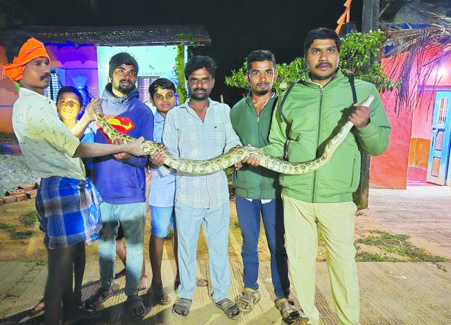 ಸಮಯೋಚಿತ ಕಾರ್ಯಾಚರಣೆಯಿಂದ ರಕ್ಷಣೆ ಮಾಡಿದ ಗಸ್ತು ವನಪಾಲಕ ಮುತ್ತುರಾಜ್ ಹಳ್ಳಿ 