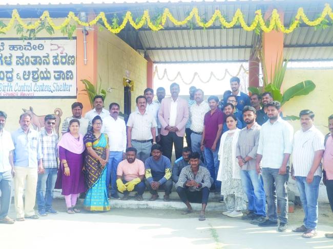 ಸಂರಕ್ಷಿಸಿದ ಬೀದಿನಾಯಿಗಳಿಗೆ ಮೂಲಭೂತ ಸೌಕರ್ಯ ಒದಗಿಸಿ -ಜಿಲ್ಲಾಧಿಕಾರಿ ದಾನಮ್ಮನವರ 