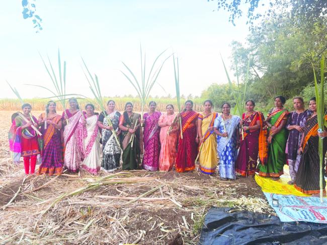 ಅರ್ಥಪೂರ್ಣವಾಗಿ ಎಳ್ಳ ಅಮಾವಾಸಿ ಆಚರಣೆ