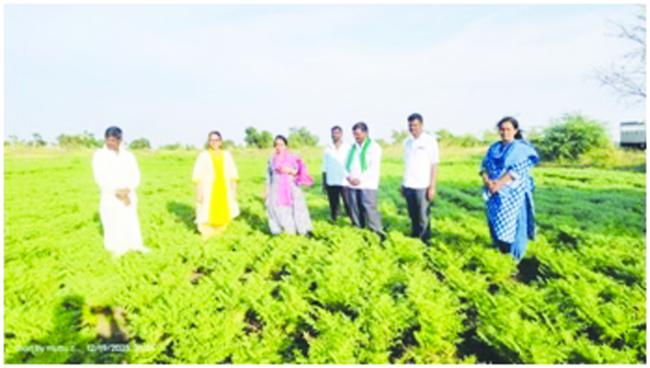 ಕಡಲೆ ಬೆಳೆಯಲ್ಲಿ ಪೋಷಕಾಂಶ ನಿರ್ವಹಣೆ ಬಗ್ಗೆ ಸಲಹೆ 