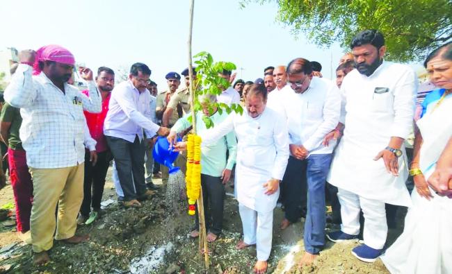 ಸಾಲುಮರದ ತಿಮ್ಮಕ್ಕಳ ಕಾರ್ಯ ಮಾದರಿಯಾಗಲಿ: ಶಾಸಕ ನಾಡಗೌಡ  
