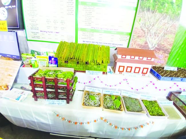 ಕಣ್ಮನ ಸೆಳೆದ ರೇಷ್ಮೆ ಕೃಷಿ ವಸ್ತು ಪ್ರದರ್ಶನ 