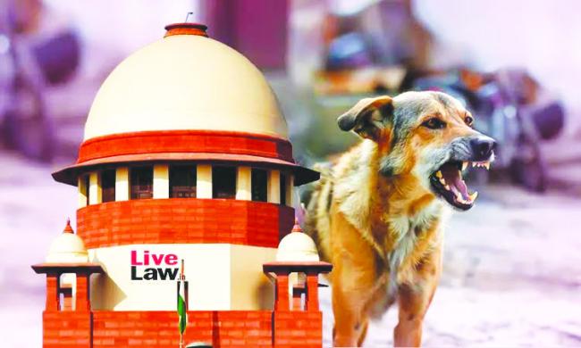 ರಸ್ತೆಗಳಲ್ಲಿ ನಾಯಿಗಳಿಲ್ಲದಂತೆ ನೋಡಿಕೊಳ್ಳುವ ಕ್ರಮಗಳಾಗಬೇಕಎಂದ ಸುಪ್ರೀಂ ಕೋರ್ಟ್