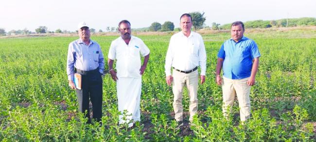 ಉತ್ತಮ ಆರೋಗ್ಯಕ್ಕಾಗಿ ಕುಸುಬೆ ಎಣ್ಣೆಕಾಳು ಬೆಳೆ:  ಕೊಪ್ಪಳ ಕೃಷಿ ವಿಸ್ತರಣಾ ಶಿಕ್ಷಣ ಕೇಂದ್ರದಿಂದ ಪ್ರಾತ್ಯಕ್ಷಿಕೆ 