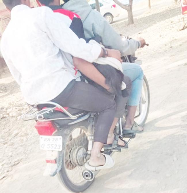 ಕುರಿ ಕದ್ದುಕೊಂಡು ಸಾಗುತ್ತಿದ್ದ ಕಳ್ಳರನ್ನು ಹಿಡಿದ ರೈತ