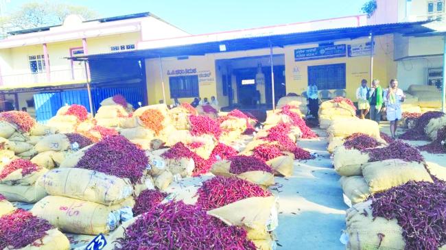 ಕೃಷಿ ಮಾರುಕಟ್ಟೆಯಲ್ಲಿ ಮೆಣಸಿನಕಾಯಿ ಚೀಲಗಳು 