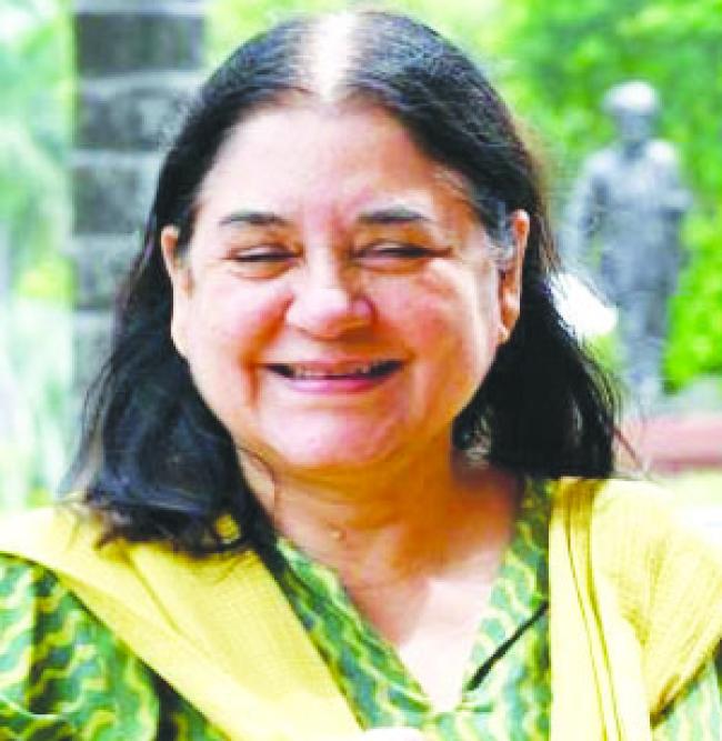 ಬೀದಿ ನಾಯಿ : ಮೇನಕಾ ಗಾಂಧಿಗೆ 'ಸುಪ್ರೀಂ' ಛೀಮಾರಿ