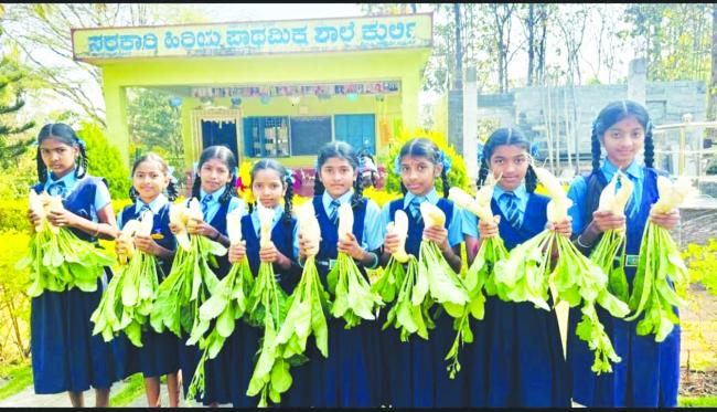 “ಮೂಲಂಗಿಯ ಸೊಪ್ಪಿನ ಮುತ್ತು: ಕುರ್ಲಿ ಶಾಲೆಯ ಮಕ್ಕಳು ಅರೋಗ್ಯದ ಹಾದಿಯಲ್ಲಿ” ಸಾವಯವ ಕನಸಿನ ಬೆಳೆ! 