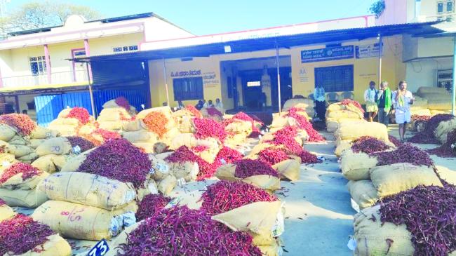 ಡಬ್ಬಿ ಮೆಣಸಿನಕಾಯಿಗೆ ಹೆಚ್ಚಿಗೆ ದರ  