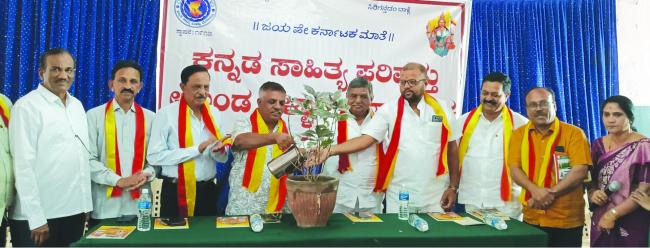 ಮಾತೃಭಾಷೆ ಕನ್ನಡದಲ್ಲಿ ಭಾವನೆಗಳ ಶಬ್ದಗಳ ಬಂಡಾರವೇ ಇದೆ: ಮೆಹತಾಬ್  