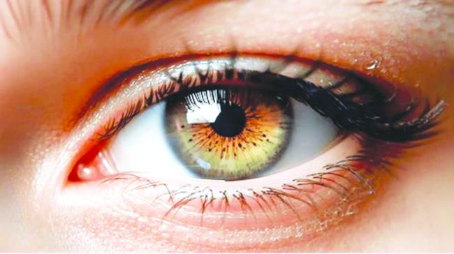 ಫೆ.11ರಂದು ಬೆಟಗೇರಿ ಪಿಎಚ್‌ಸಿಯಲ್ಲಿ ವಿವಿಧ ರೋಗಗಳ ಉಚಿತ ತಪಾಸಣೆ ಶಿಬಿರ  