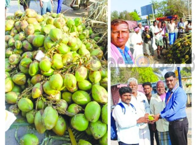 ಶ್ರೀ ಗುರು ಕೊಟ್ಟೂರೇಶ್ವರ ಪಾದಯಾತ್ರೆ ಗಳಿಗೆ ಒಂದು ಸಾವಿರ ಎಳೆ ನೀರು ಸೇವನೆ 