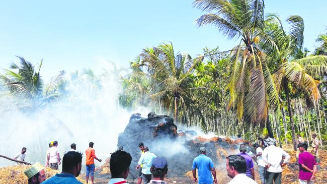 ಬಣವೆಗಳಿಗೆ ಕಿಡಿ ತಗುಲಿ ಸಾವಿರಾರು ರೂ. ಮೌಲ್ಯದ ಹುಲ್ಲು ಭಸ್ಮ: ರೈತರಿಗೆ ಭಾರೀ ನಷ್ಟ