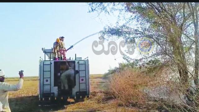 ಆಕಸ್ಮಿಕವಾಗಿ ಬೆಂಕಿ ಅವಘಡ: ನಿಂಬೆ ಬಾರಿ ಗೀಡಗಳು ಭಸ್ಮ