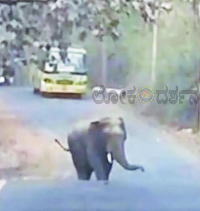   ಯಲ್ಲಾಪೂರ-ಹಳಿಯಾಳ   ರಸ್ತೆಯ ಮೇಲೆ ಒಂಟಿ ಸಲಗ ಬಸ್ ಗೆ ಅಡ್ಡವಾಗಿ ನಿಂತಿದೆ 