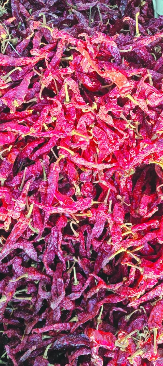  1 ಲಕ್ಷ ದಾಟಿದ ಕೆಂಪು ಮೆಣಸಿನಕಾಯಿ ಚೀಲಗಳ ಅವಾಕ  