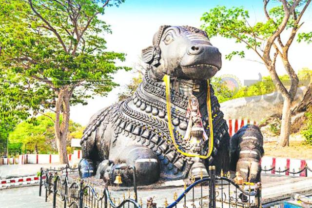 ಪವಾಡ ಪುರುಷರ ತಾಣ ಮಣಗುತ್ತಿ ಬಸವಣ್ಣ ದೇವರ ಜಾತ್ರೇ  