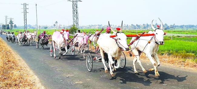 ಗ್ರಾಮದೇವತೆ ಸಿದ್ದೇಶ್ವರ ಜಾತ್ರೆಯ ಜೋಡೆತ್ತಿನ ಗಾಡಿ ಶರ್ಯತ್ತಿ 