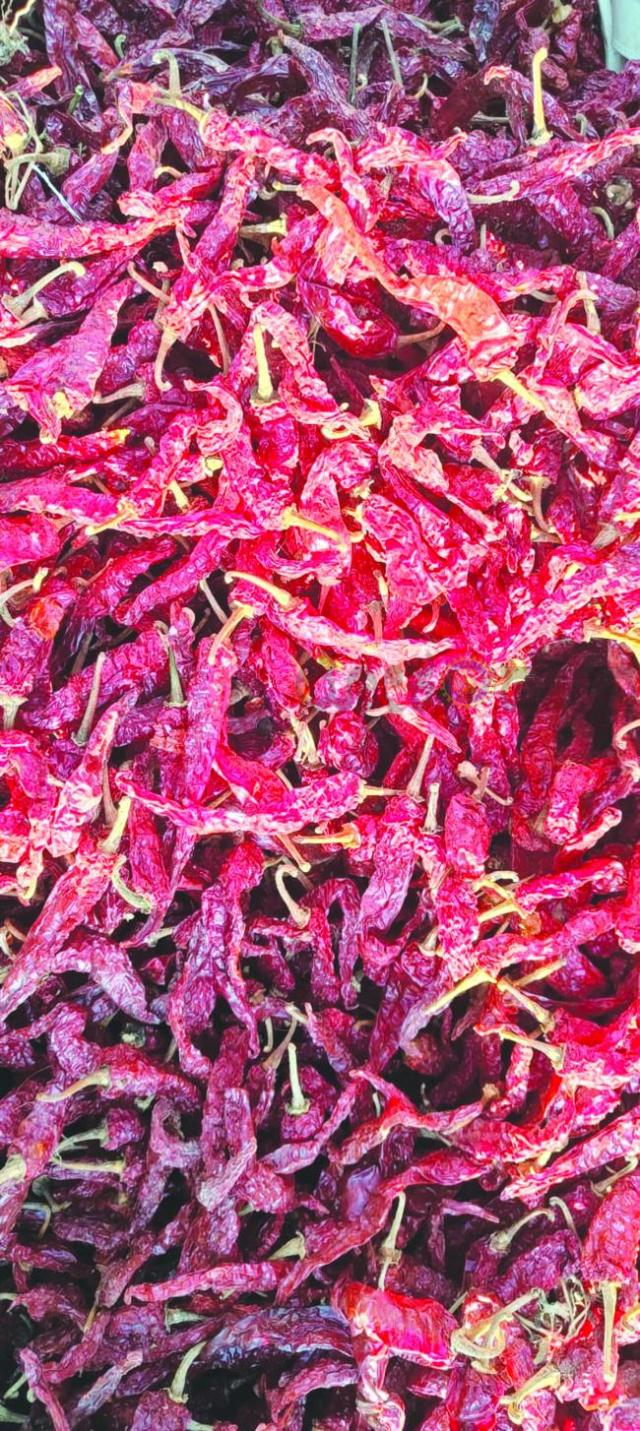 ಡಬ್ಬಿ ಮೆಣಸಿನಕಾಯಿಗೆ 75,189 ರೇಟ್ 