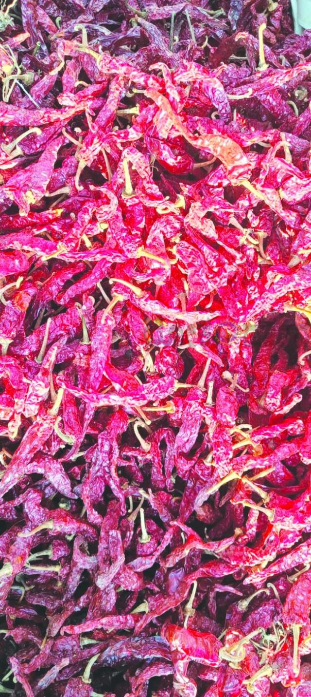 ದಾರಣಿಯಾದ ಡಬ್ಬಿ ಮೆಣಸಿನಕಾಯಿಗೆ 75,189 ರೇಟ್  