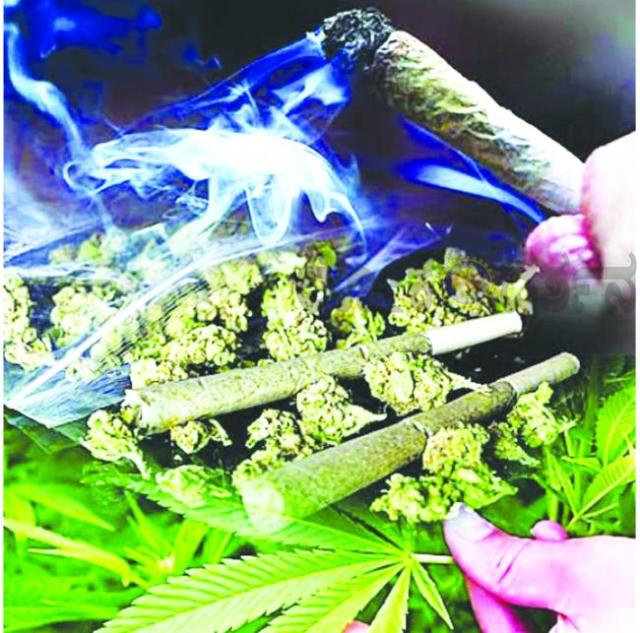 ದಾಂಡೇಲಿಯಲ್ಲಿ ಗಾಂಜಾ ಮಾರುವವರ , ಸೇದುವವರ ವಿರುದ್ದ ಸಮರ ಜಾಗ್ರತಿ ಕಾರ್ಯಕ್ರಮ	