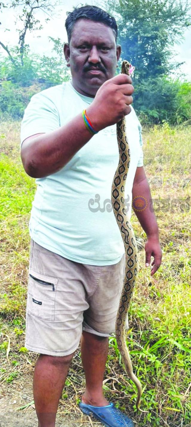 4,000 ವಿಷಕಾರಿ ಹಾವುಗಳನ್ನು ಸುರಕ್ಷಿಸಿದ ಸುಭಾಷ್ ಐಗೋಳ 