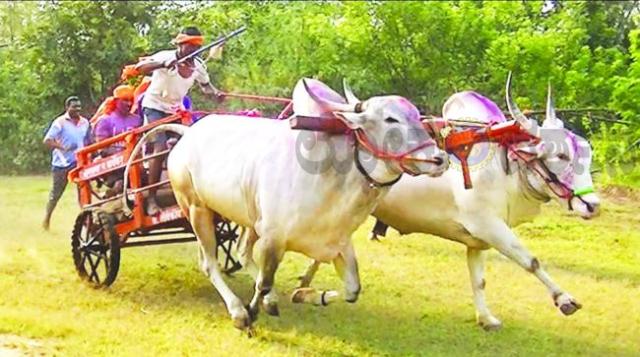 ಕಣ್ಣು ಮುಚ್ಚಿ ಕುಳಿತ ಪ್ರಾಣಿ ದಯಾ ಸಂಸ್ಥೆ  
