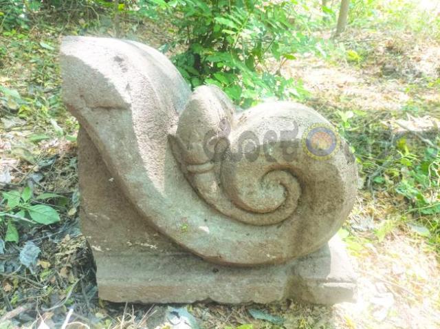 ಅರಸಹಳ್ಳಿಯಲ್ಲಿ ದೇವಗಿರಿ ಯಾದವರ ಗಜಲಕ್ಷ್ಮಿಯ ಶಿಲ್ಪದ ಸೊಂಡಿಲು ಪತ್ತೆ