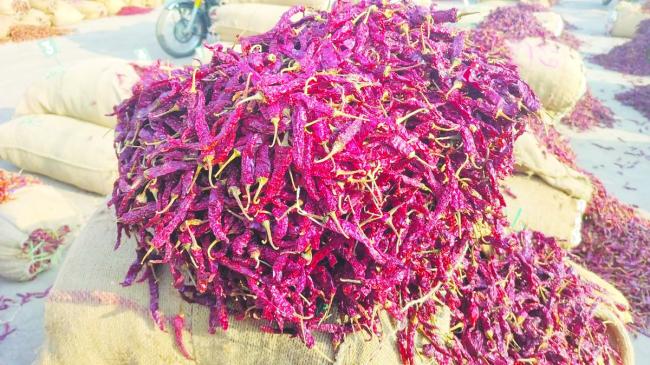 ಸ್ಥಿರತೆ ಕಾಯ್ದುಕೊಂಡ ಮೆಣಸಿನಕಾಯಿ ಅವಾಕ. ದರದಲ್ಲಿ ಕೊಂಚ ಏರಿಕೆ