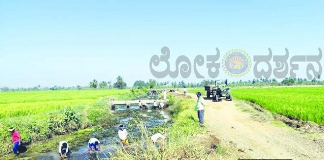ಕಾಲುವೆಯಲ್ಲಿ ಹೂಳು ತೆಗೆಯುವುದರಿಂದ  ರೈತರ ಹೊಲಗಳಿಗೆ ನೀರು ಸುಲಭ ಉಪಾಧ್ಯಕ್ಷ ಟಿ ಗಂಗಣ್ಣ  