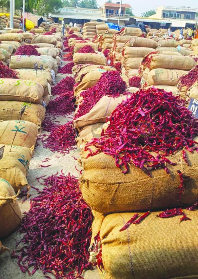 ಬ್ಯಾಡಗಿ ಡಬ್ಬಿ ಮೆಣಸಿನಕಾಯಿ ದರ ಹೆಚ್ಚಳ  