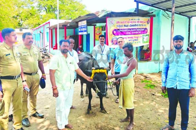 ಎನ್‌ಎಸ್‌ಎಸ್ ಶಿಬಿರ: ಜಾನುವಾರಗಳ ಉಚಿತ ತಪಾಸಣೆ 