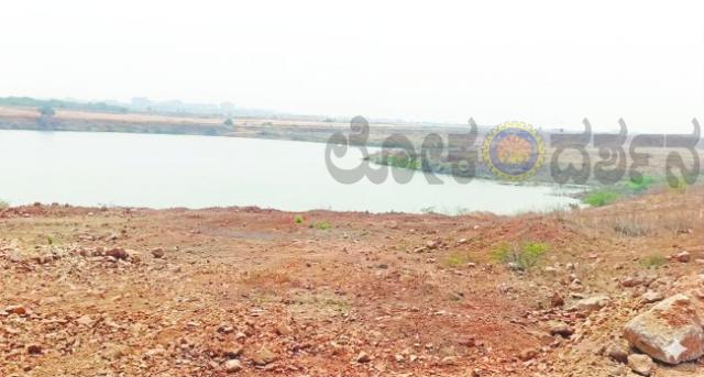 ಬಸಾಪುರ ಕೆರೆ ಕುರಿತ ಜಿಲ್ಲಾಧಿಕಾರಿಗಳ ಹೇಳಿಕೆಗೆ ವೇದಿಕೆ ಸ್ಪಷ್ಟನೆ 