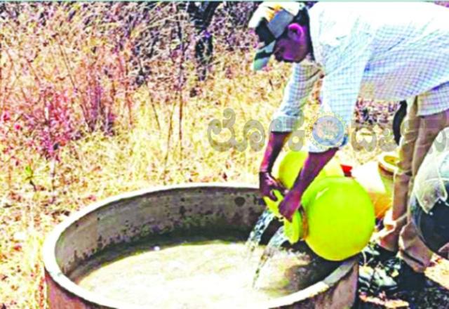 ಪ್ರಾಣಿಗಳ ದಾಹ ನೀಗಿಸಲು ಕೃತಕ ನೀರಿನ ತೊಟ್ಟಿಗಳಿಗೆ ನೀರು