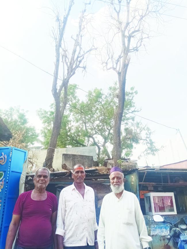 ಒಣದ ಗಿಡಗಳು ತೆರವುಗೊಳಿಸದಿದ್ದರೆ ಅಧಿಕಾರಿಗಳೇ ಹೊಣೆ