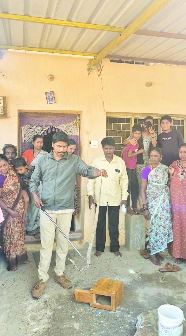 ಪ್ರಾಣಿ ಸಂರಕ್ಷಣೆ: ಹುನಗುಂದದಲ್ಲಿ ನಾಗರಹಾವು ಸುರಕ್ಷಿತವಾಗಿ ಅರಣ್ಯಕ್ಕೆ ಬಿಡುವಿಕೆ 