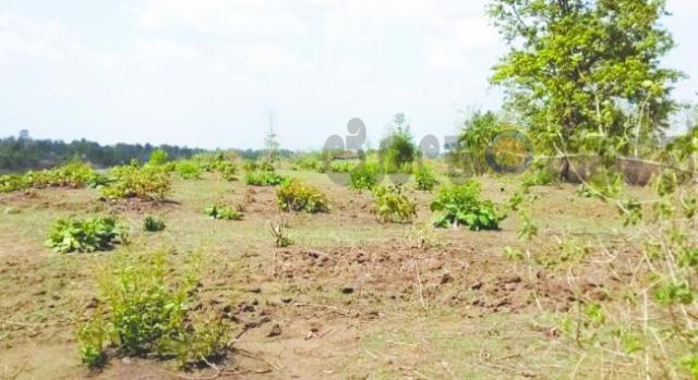 ಕಾರ್ಮಿಕರ ಮಕ್ಕಳ ವಸತಿ ಶಾಲೆಗೆ 9 ಎಕರೆ ಜಮೀನಿಗೆ ಪ್ರಸ್ತಾವನೆ  