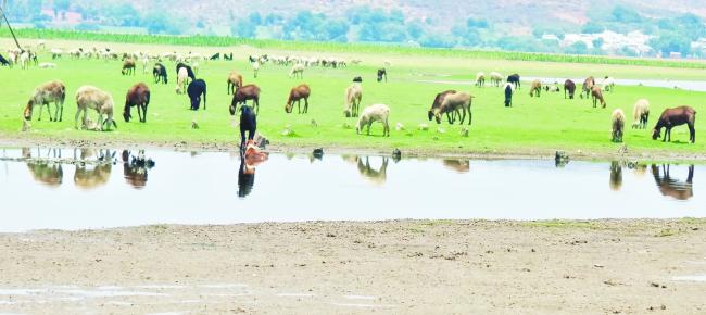 ಜಿಲ್ಲೆಯಲ್ಲಿ ಮೂರು ವಿಶಾಲವಾದ  ನದಿಗಳು ಹರಿದರೂ ತಪ್ಪದ ಜಲಸಂಕಟ!  