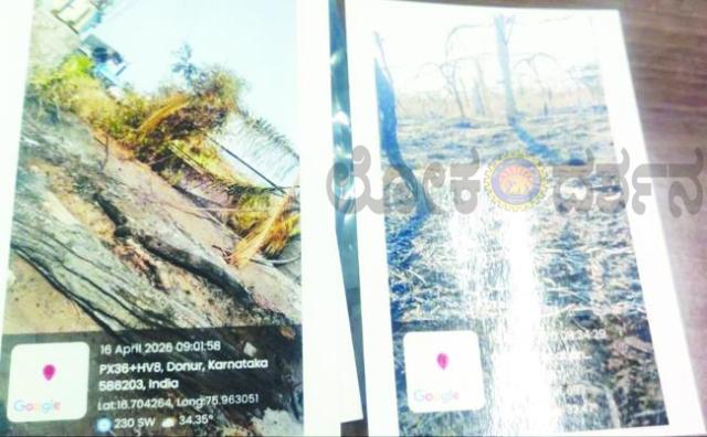 ವಿದ್ಯುತ್ ಶಾರ್ಟ ಸರ್ಕ್ಯೂಟ್‌ನಿಂದ ದ್ರಾಕ್ಷಿ ಸೇರಿದಂತೆ ಅಪಾರ ನಷ್ಟ 