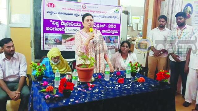 2027ರ ವೇಳೆಗೆ ಬಳ್ಳಾರಿ ಜಿಲ್ಲೆಯನ್ನು ಮಲೇರಿಯಾ ಮುಕ್ತವಾಗಿಸಲು ಸಂಕಲ್ಪ ಮಾಡೋಣ: ಡಾ.ಮರಿಯಂಬಿ ವಿ.ಕೆ 