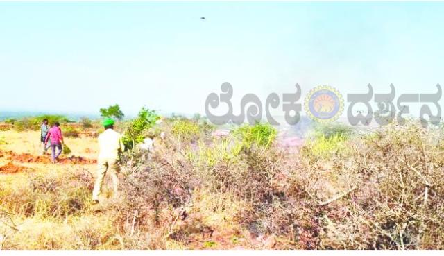 ಅರಣ್ಯ ಪ್ರದೇಶದಲ್ಲಿ ಅಗ್ನಿಅವಘಡ: ಸುಮಾರು 20 ಎಕರೆಗೂ ಅಧಿಕ ಅರಣ್ಯ ಪ್ರದೇಶ ಸುಟ್ಟು ಭಸ್ಮ 