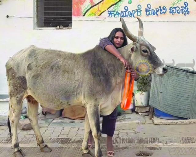 ಮಂಗಳಮುಖಿಯರ ಬದುಕಿಗೊಂದು ಘನತೆಯ ಭಾಷ್ಯ: ಪ್ರಾಣಿ ರಕ್ಷಣೆಗಾಗಿ ಎಸ್‌.ಡಿ. ಸಿಂಚನಾ ಅವರ ಶ್ಲಾಘನೀಯ ಹೆಜ್ಜೆ - ಕೃಷ್ಣಾ ಹಡಪದ  