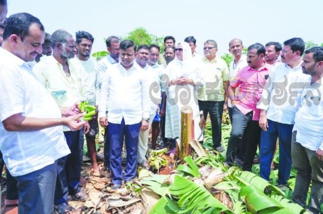 ಎಕರೆಗೆ 5 ಲಕ್ಷ ರೂ. ಕೊಡಿ-ಸರಕಾರಕ್ಕೆ ಬಿಜೆಪಿ ನಾಯಕರ ಆಗ್ರಹ ಬೆಳೆ ಹಾನಿ ಪ್ರದೇಶಕ್ಕೆ ಭೇಟಿ 