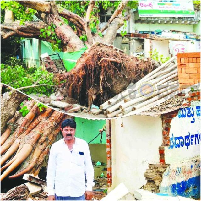ಭೀಕರ ಗಾಳಿ ಮಳೆಗೆ 100 ವರ್ಷದ ಜೋಡಿ ಮರಗಳು ಮನೆ ಮೇಲೆ ಬಿದ್ದು ಮನೆ ಸಂಪೂರ್ಣ ನೆಲ ಸಮ: ಸಹಾಯಕ್ಕಾಗಿ ಪ್ರಸ್ತಾವನೆ  