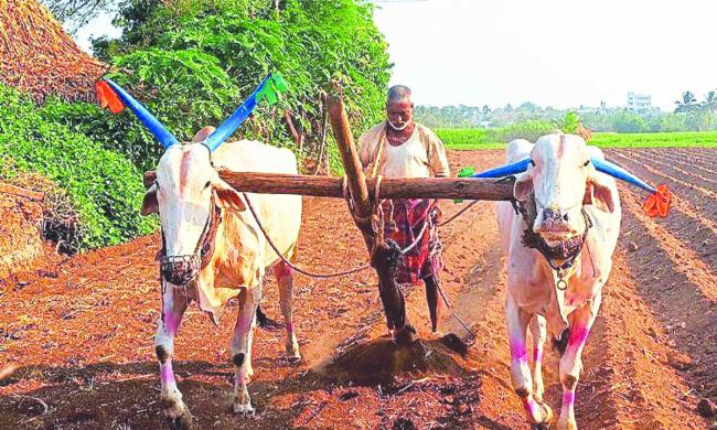 ಮುಂಗಾರು ಪೂರ್ವ ಮಳೆ ಆರಂಭ: ರೈತರಿಂದ ಬಿತ್ತನೆಗೆ ಭರದ ಸಿದ್ಧತೆ 