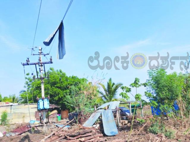 ಶನಿವಾರ ಸುರೀದ ಮಳೆಗೆ ಧರೆಗುರುಳಿದ ಡ್ರ್ಯಾಗನ್ ಗಿಡಗಳು ಹಾಗೂ ಕಂಬಗಳು ವಿಕ್ಷೀಸುತ್ತಿರುವ ಗ್ರಾಮದ ಮುಖಂಡರು : ಲಕ್ಷ್ಮಣ ಹಿರೇಕುರಬರ 