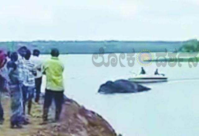 ಜಲಾಶಯದ ನೀರಿನಲ್ಲಿ ಕಾಡಾನೆ ಸಾವು 